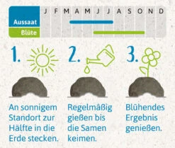 Samenbomben Urlaub Auf Balkonien (6 Stück) | Blumensamenmischung Von FLORTUS -Compo Verkäufe 562167 Samenbomben Urlaub auf Balkonien 6 Stueck 2000 1058 4