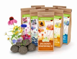 Samenbomben Set (8 Päckchen) | Blumensamenmischung Von FLORTUS -Compo Verkäufe 562498 Samenbomben Set 8 Paeckchen 2000 2367 1