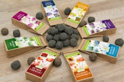 Samenbomben Set (8 Päckchen) | Blumensamenmischung Von FLORTUS -Compo Verkäufe 562498 Samenbomben Set 8 Paeckchen 2000 2367 3