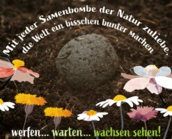 Samenbomben Set (8 Päckchen) | Blumensamenmischung Von FLORTUS -Compo Verkäufe 562498 Samenbomben Set 8 Paeckchen 2000 2367 7 1