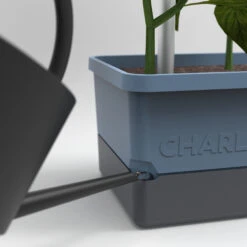 Charly Chili Chilitopf Inkl. Chilipflanze | Pflanzsets Von Gusta Garden X Chilivielfalt -Compo Verkäufe 562593 Charly Chili Chilitopf inkl Chilipflanze 7600 6501 parent 16