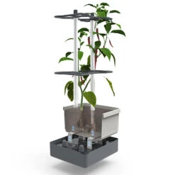 Charly Chili Chilitopf Inkl. Chilipflanze | Pflanzsets Von Gusta Garden X Chilivielfalt -Compo Verkäufe 562593 Charly Chili Chilitopf inkl Chilipflanze 7600 6501 parent 17