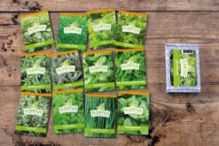 HARRY HERBS &amp; FLORTUS Kräuter Set | Anzuchtsets Von FLORTUS