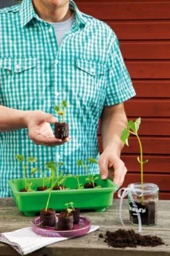 36 Mm Kokos-Quelltabletten Sparkarton 1.500 Stück (unbedruckt) | Kokos-Quelltabletten Von Romberg