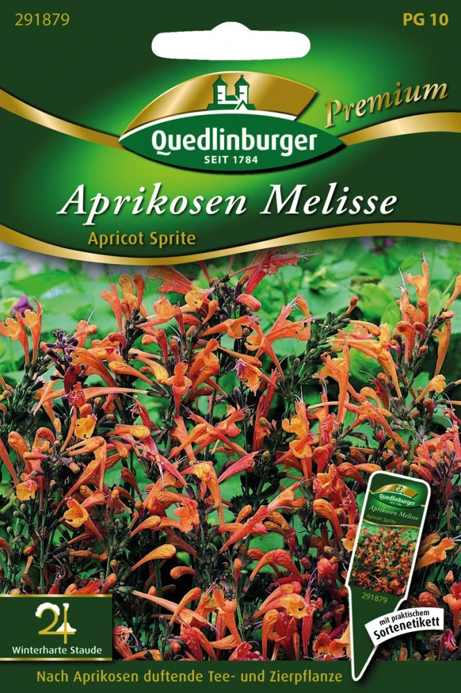 Compo Verkäufe 28 Compo Verkäufe -Compo Verkäufe 532146 Aprikosen Melisse von Quedlinburger Saatgut