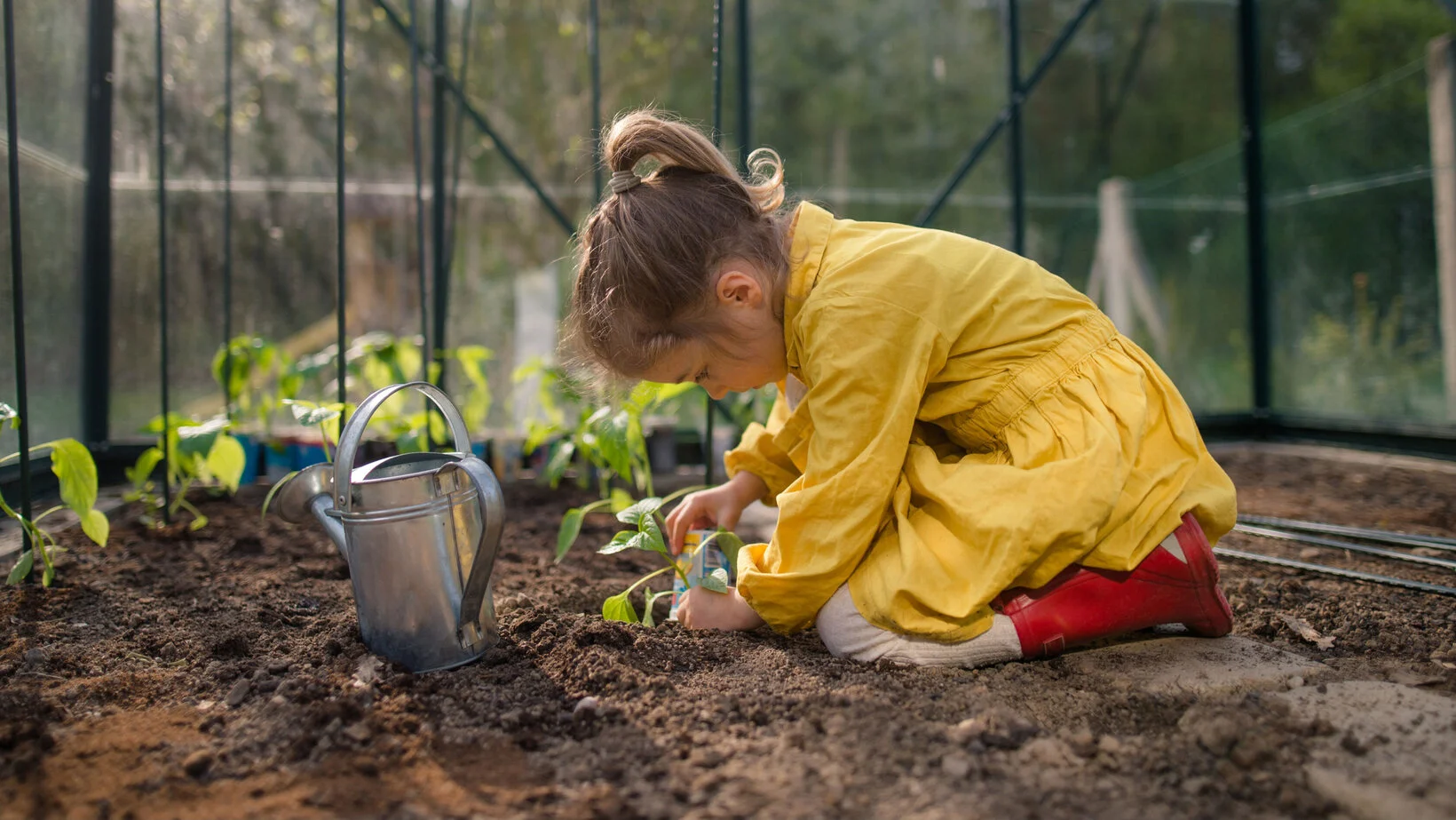 Compo Verkäufe 1 Compo Verkäufe -Compo Verkäufe csm Blumen Risse Pflanzenwelt Anzucht 01 a5dfa13195